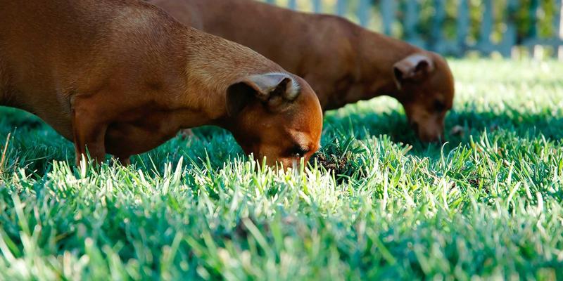 皇冠传媒集团49：赛博朋克美学如何重塑现代传媒广告新边界