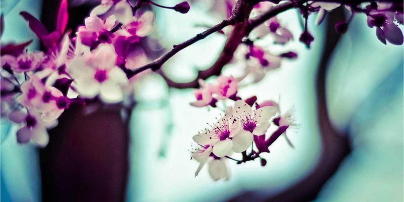 皇冠传媒集团:以创意设计与整合营销构筑品牌皇冠