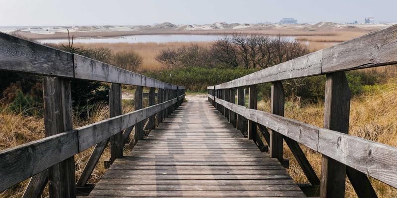 皇冠传媒集团创作者经济扶持计划：赛博朋克营销浪潮下的MCN孵化与收益分成新模式