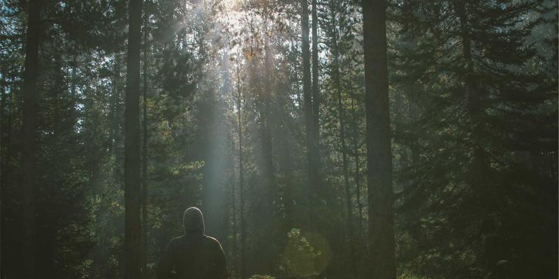 皇冠传媒集团如何利用边缘计算优化全球内容分发网络与用户体验