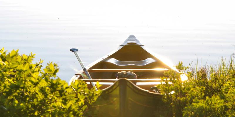 皇冠传媒集团的元宇宙蓝图：赛博朋克美学、创意设计与未来叙事革命