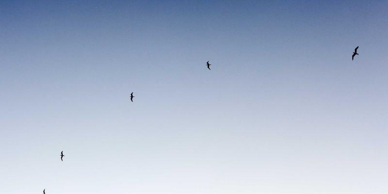 算法赋能创意：皇冠传媒集团如何以数据驱动重塑传媒广告与内容营销