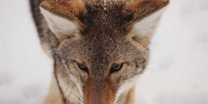 赛博朋克美学与品牌策划：皇冠传媒集团的未来之路